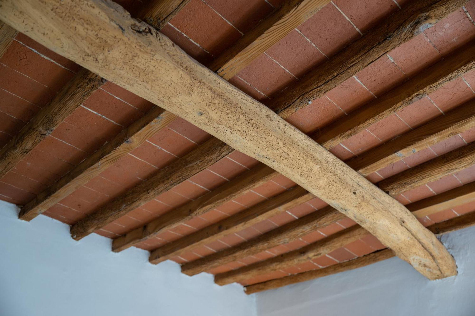 佛罗伦萨Tipica Cozy House + Parking!公寓 外观 照片