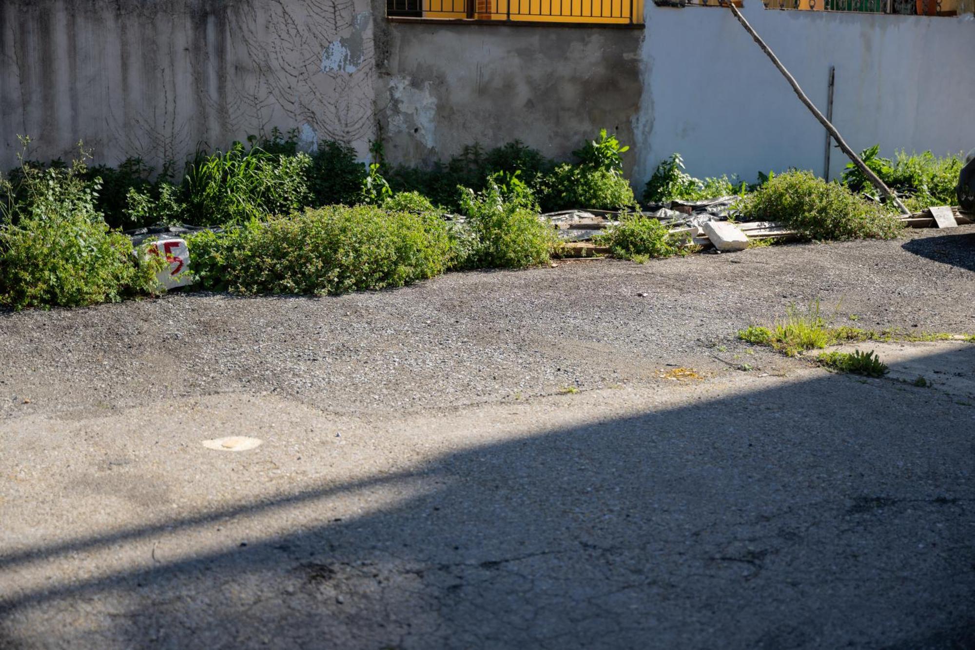 佛罗伦萨Tipica Cozy House + Parking!公寓 外观 照片